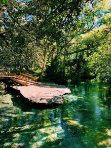 rock-springs-kelly-park-florida-grilled-cheese-social-7-600x800