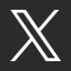 x icon